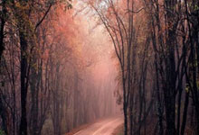 FB体育在线-马赛队主场失利球员深夜训练备战下场的简单介绍